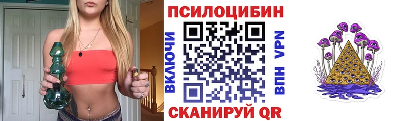 Купить закладки  Кисловодск  Псилоцибиновые грибы GOLDEN TEACHER 